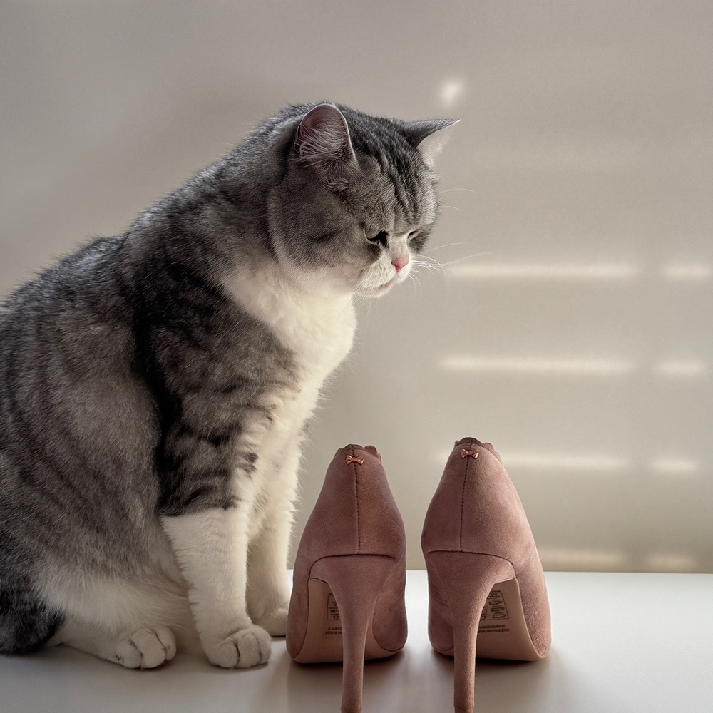 Ted Baker Blush Pink Suede Heels with Rose Gold Details. Size 6. 4 in heels.